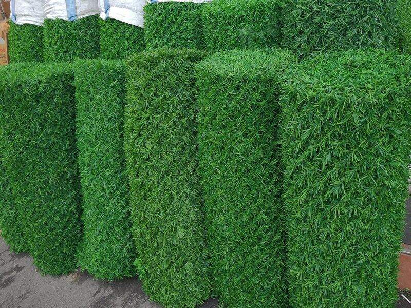 Green grass fence roll installed in a garden for privacy screening